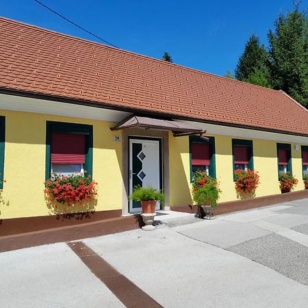 Hotel Pri Belokranjcu Novo Mesto Exterior photo